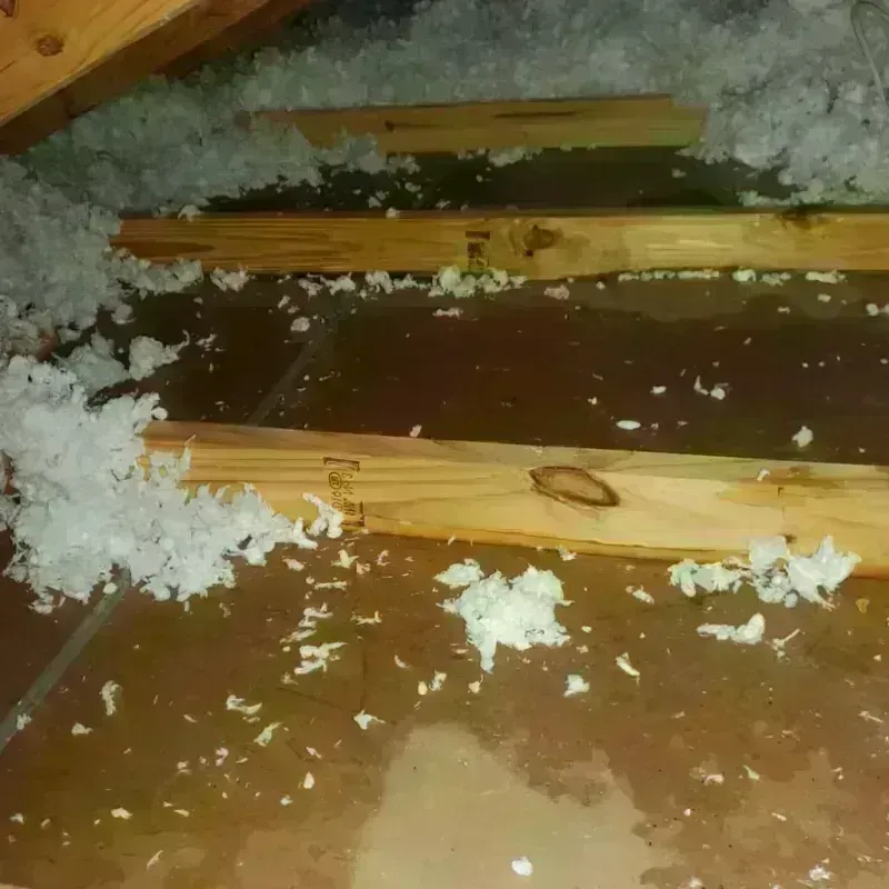 Attic Water Damage in Santa Monica, CA